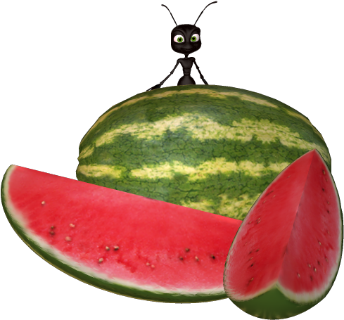 Watermelon Clip Art - Ant With Watermelon (508x474)