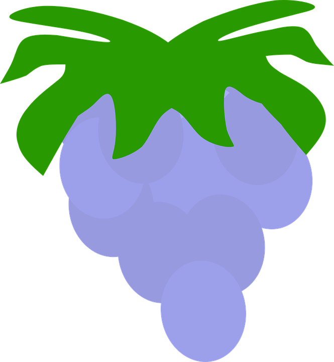 19086-fruit Owocostan A Single Piece Of Fruit Nature - Fruit (665x720)