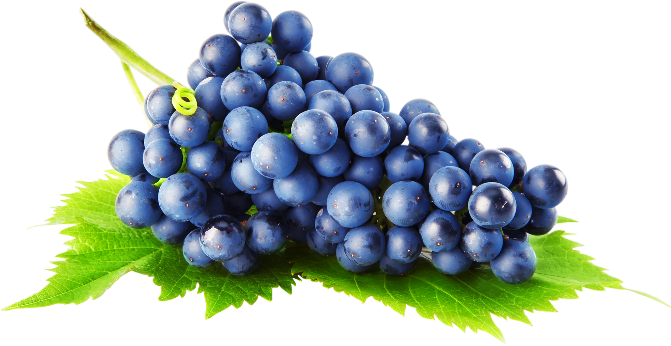 Blue Grape Clipart - Mtn Ops Ignite Supercharged Energy And Focus Drink-grape-45 (2254x1164)