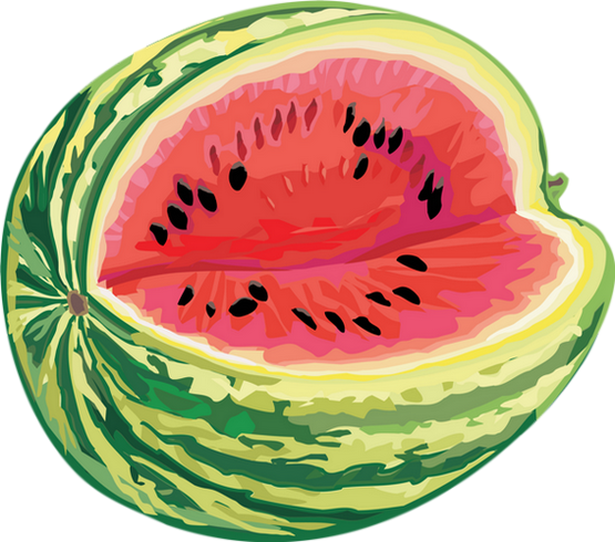 Watermelon 5'x7'area Rug (555x490)