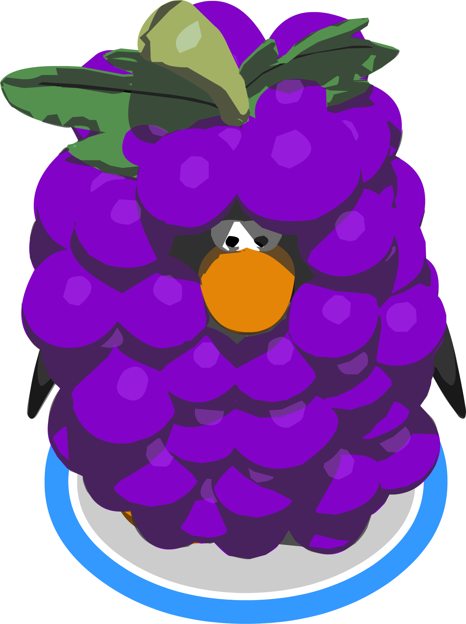 Grape Bunch Costume Ingame - Grape (1573x2109)
