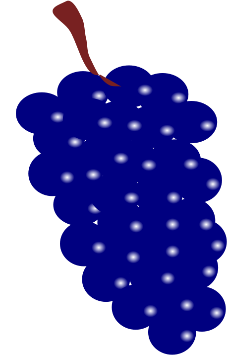 Grapes Blue - Blue Grape Clipart (566x800)