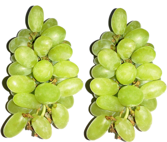 Bunch Of Grapes Large Png File - Grape (750x530)