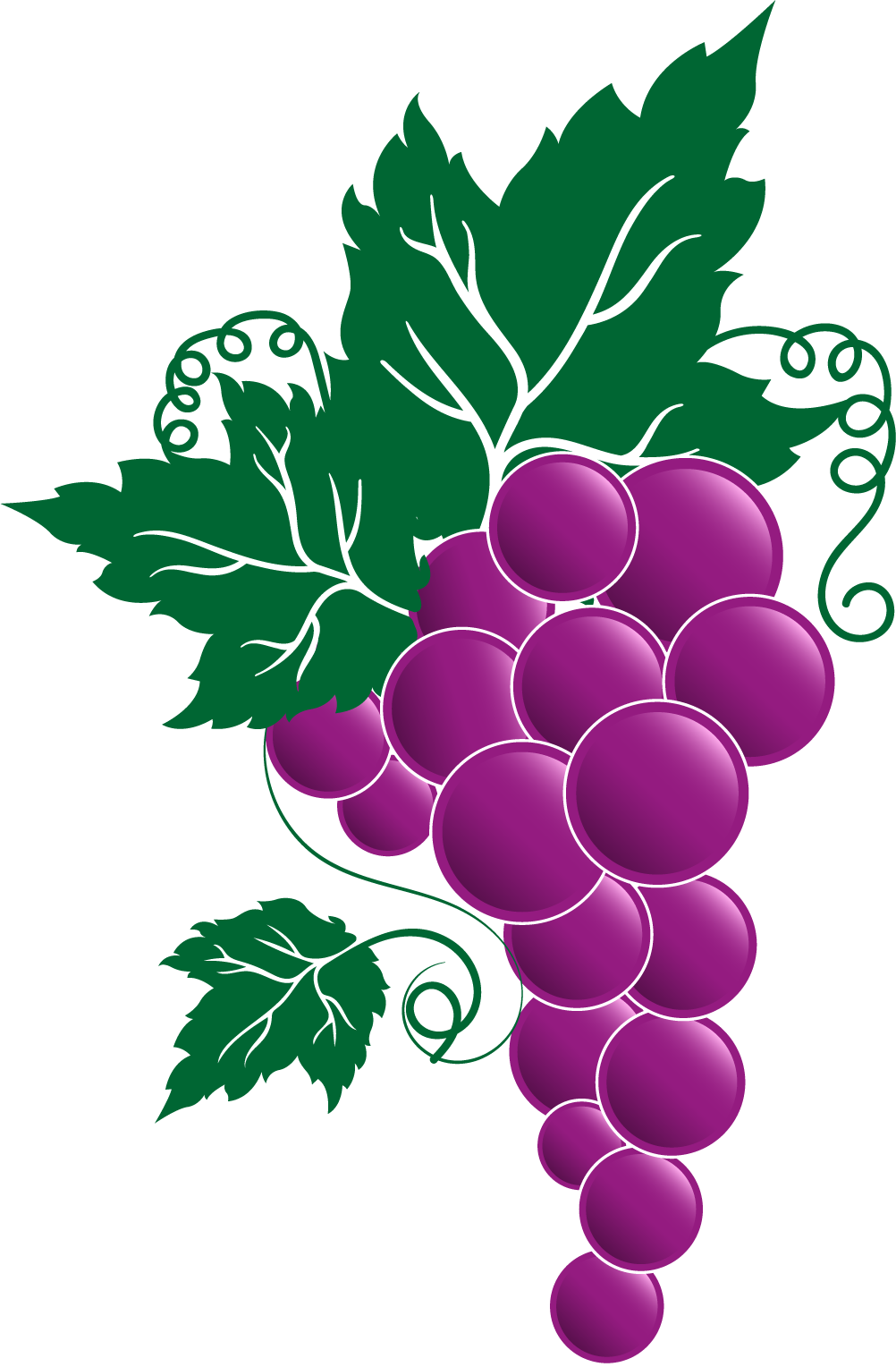 Grapes Clipart Common Fruit - Trattoria (1002x1528)