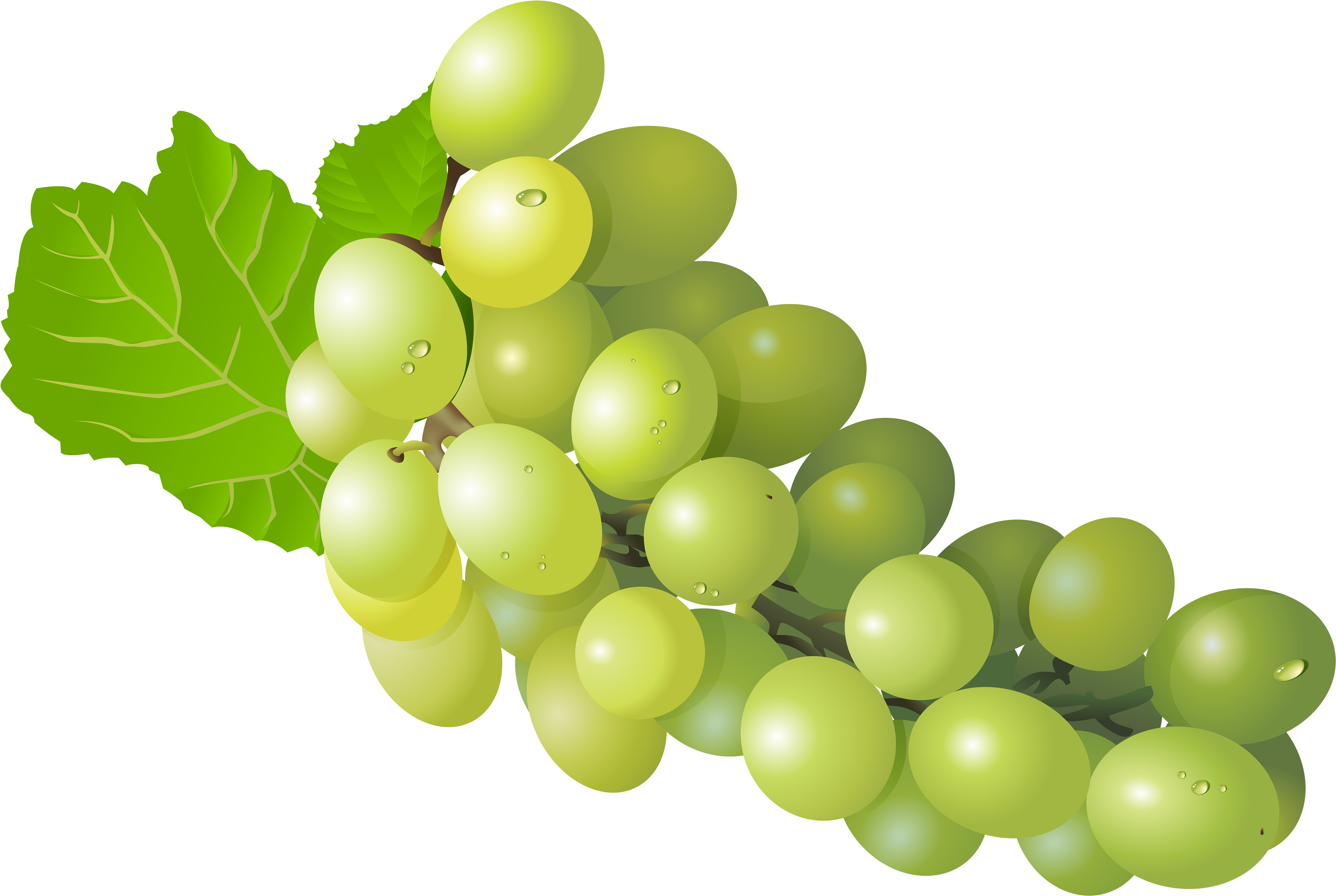 Grapes Clipart Fruit - Grape Png (6000x4118)