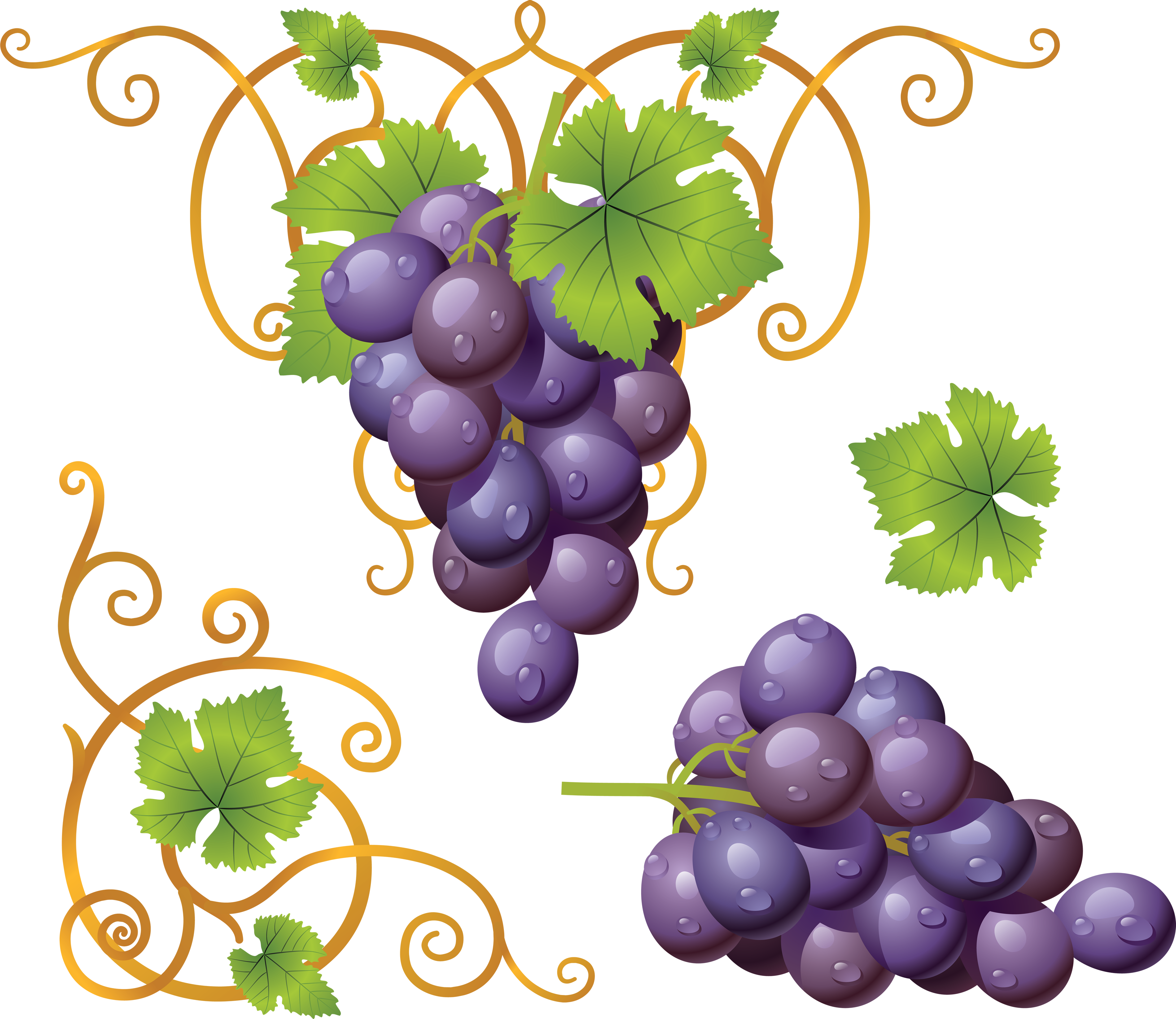 Grapes Clipart Purple Color - Grappe De Raisins Dessin (3529x3057)