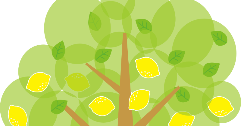 Lemon Tree Clipart - Lemon Tree Clipart (800x420)