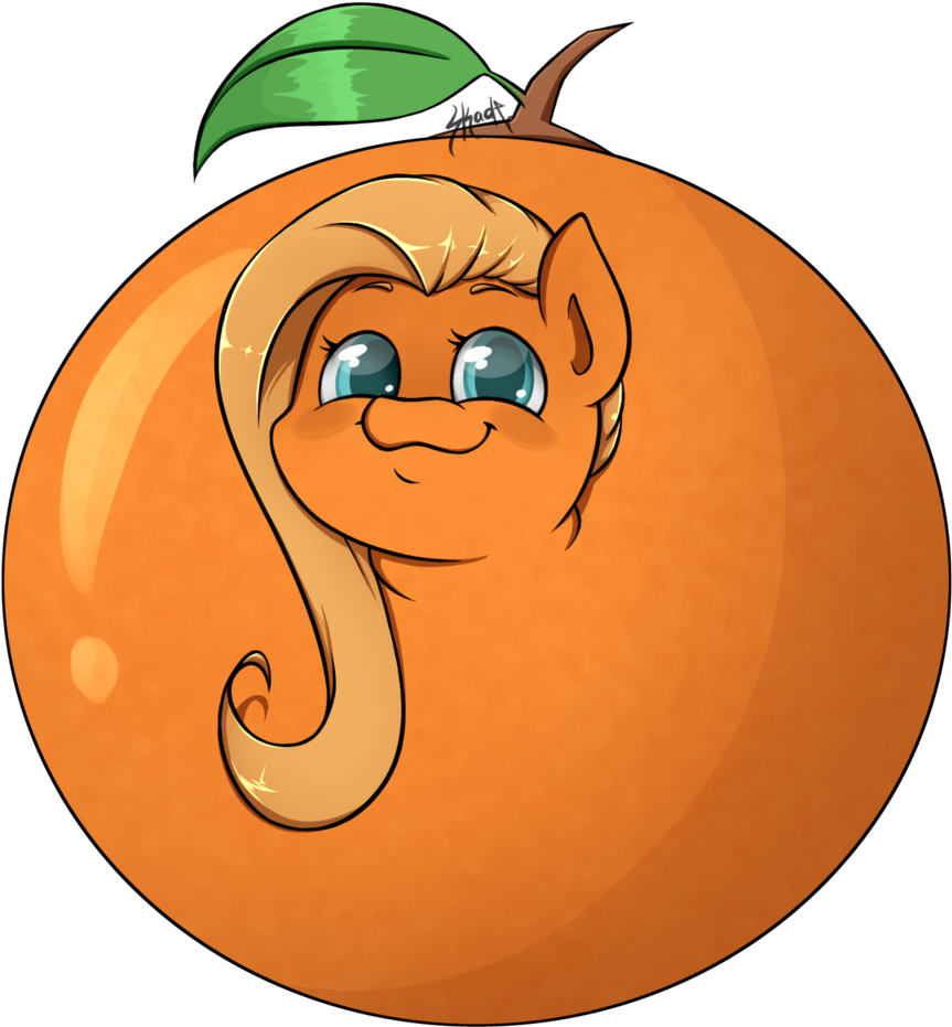 Comments - Fluttershy Orange (1024x1053)