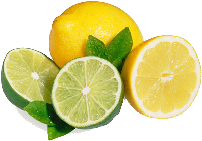 Citron Jaune Et Vert (400x400)