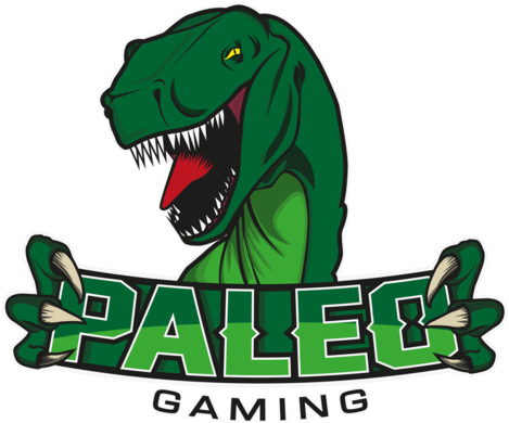 Paleo Gaming (480x480)
