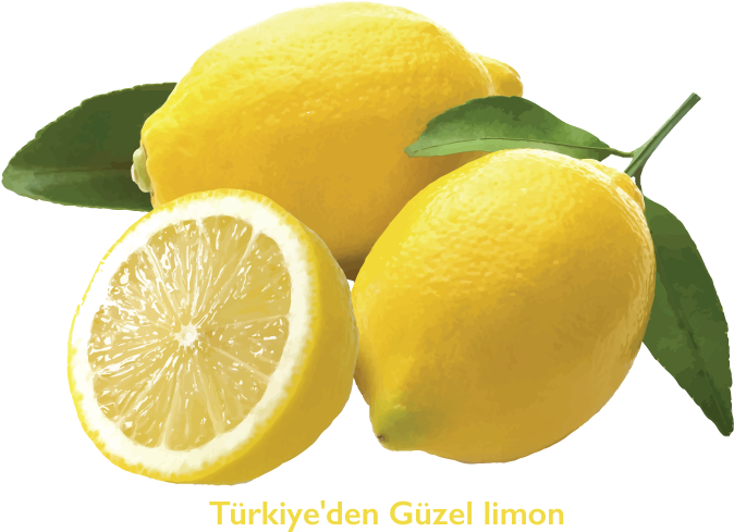 If You Want/need To Start From Seed, Have A Look At - Lemon Africa (797x548)