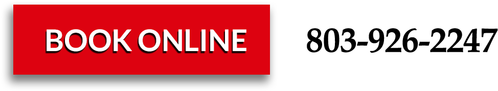 A - Canyon County Idaho Seal (1036x204)