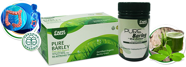 The Santé Pure Barley Juice Is Classified In Santé - Sante Barley Juice (700x233)