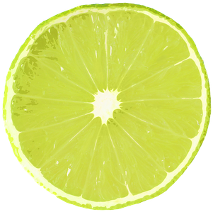 Lime Slice Lime Slice Slice Of Lime Green - Lime Slice Texture Png (453x340)