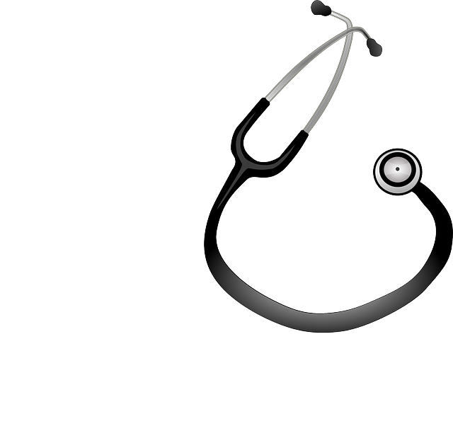 Stethoscope, Doctor, Equipment, Medical, Medicine - Estetoscopio Vetorizado (640x626)