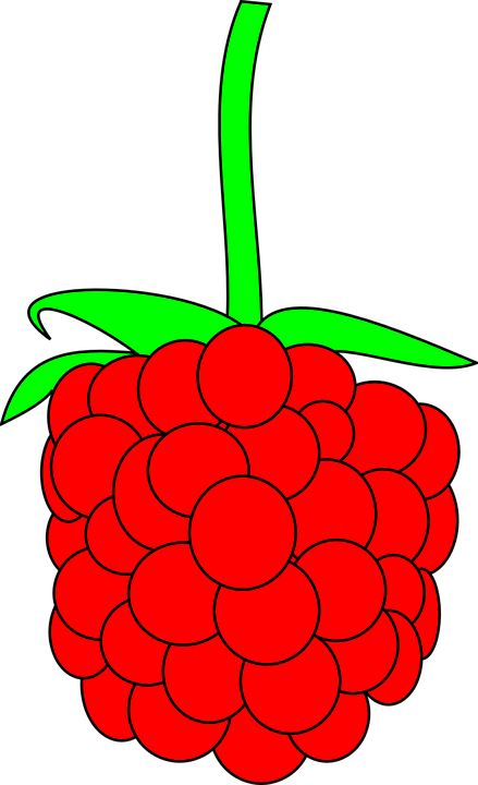 Seedles Watermelon Cliparts 24, Buy Clip Art - Custom Red Raspberry Shower Curtain (439x720)