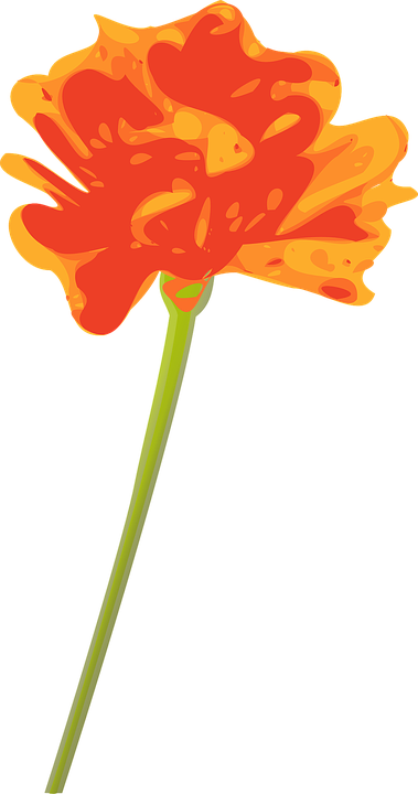 Single Rose Clipart 15, - Orange Flower Clipart (379x720)
