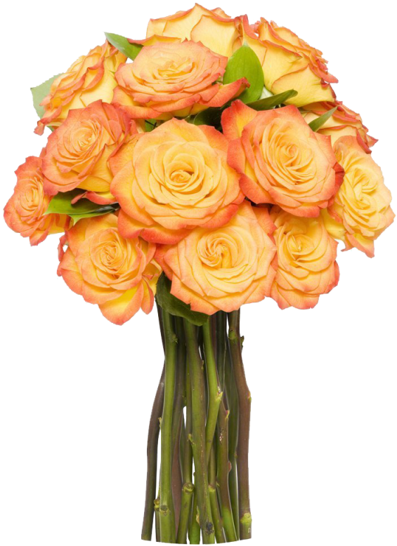 12 Long Stem Orange Roses Without Vase Loading Zoom - Vase Of Orange Flowers Png (800x800)