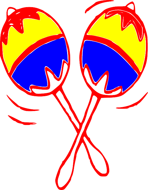 Maracas, Percussions, Sound, Carnival, Instrument - Sonido De Las Maracas (500x640)