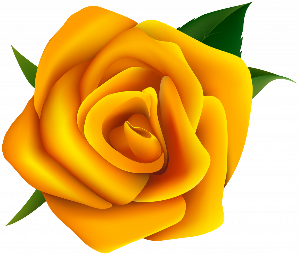 Download Inspiring Yellow Rose Clipart - Download Inspiring Yellow Rose Clipart (1024x872)