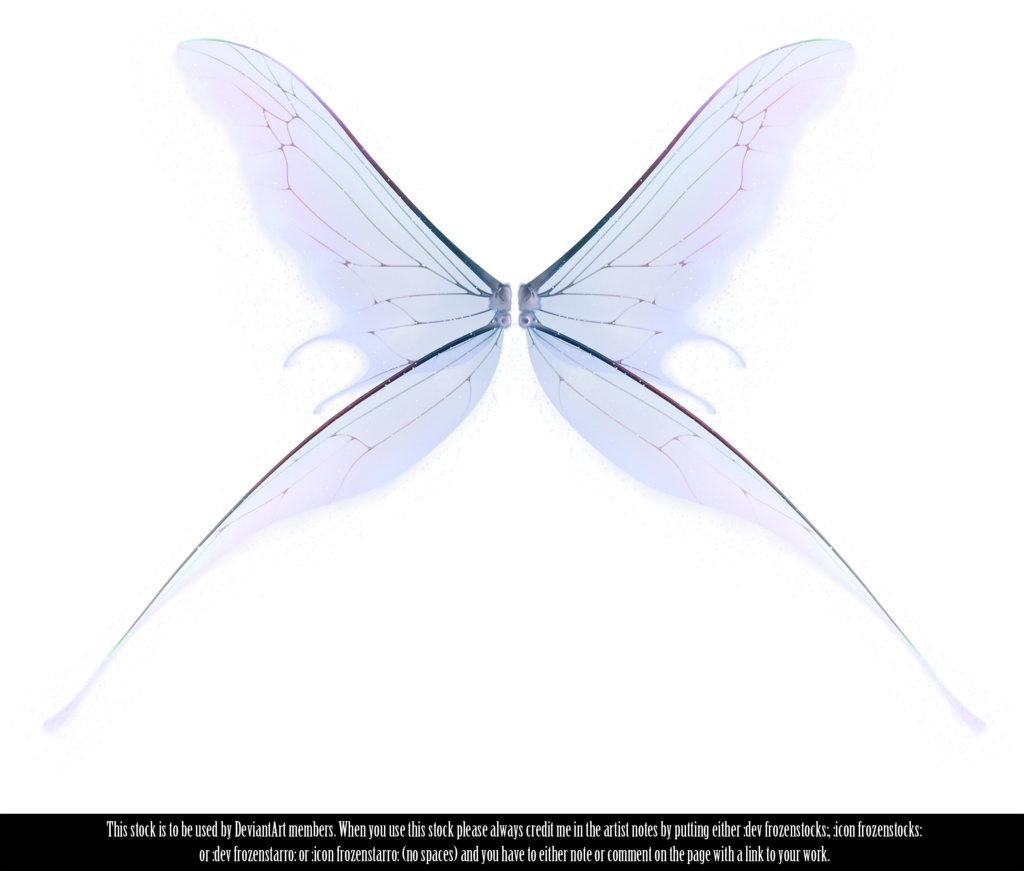 Tinkerbell White Background Tinkerbell White Background - Fairy Wings On Transparent Background (1024x871)