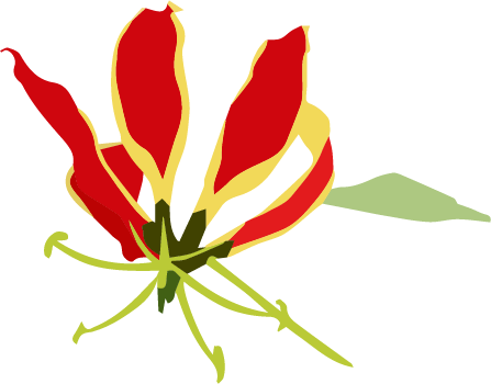 Fire Lily (447x350)