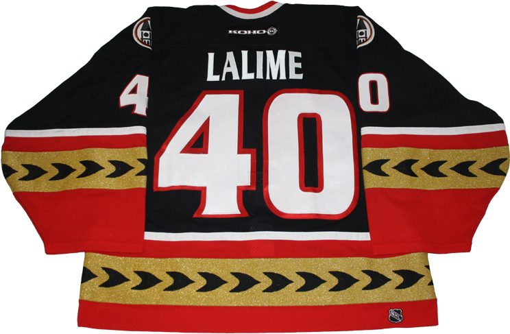 Picture - Buffalo Sabres (750x492)