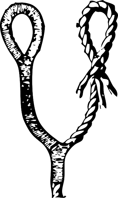 Sailing Knot, Seizing, Hitch, Splice, Bend, Maritime, - Seizing (382x640)