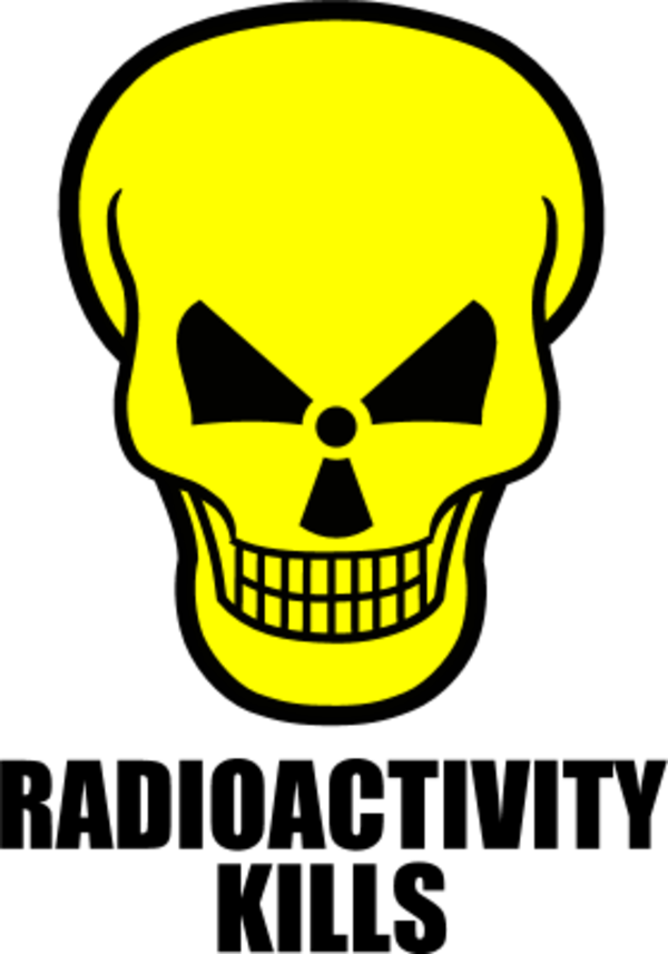 Radioactivity 20clipart - Skull And Crossbones Throw Blanket (958x1371)