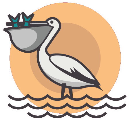 Pelican Adobe Illustrator Illustration - Illustrator Animal (800x600)