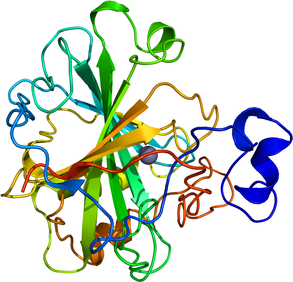 Human Carbonic Anhydrase Ii (1200x1200)