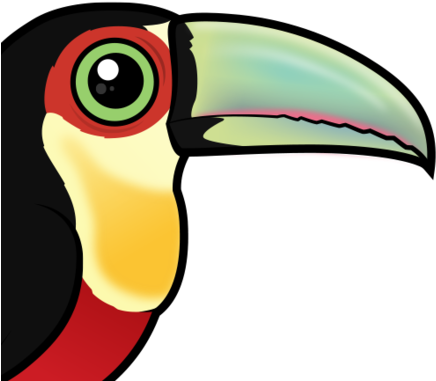 About The Red-breasted Toucan - Green-billed Toucan (440x440)