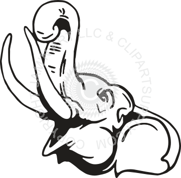 Elephant Head Drawing Side (361x355)