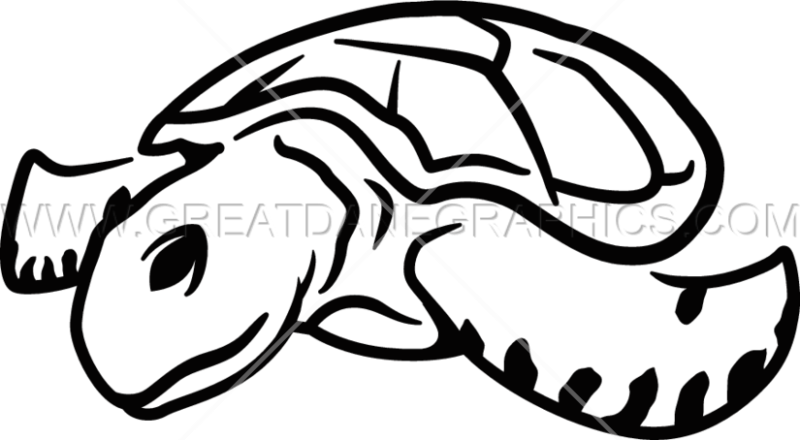 Pin Sea Turtle Clipart Black And White - Sea Turtle (825x454)