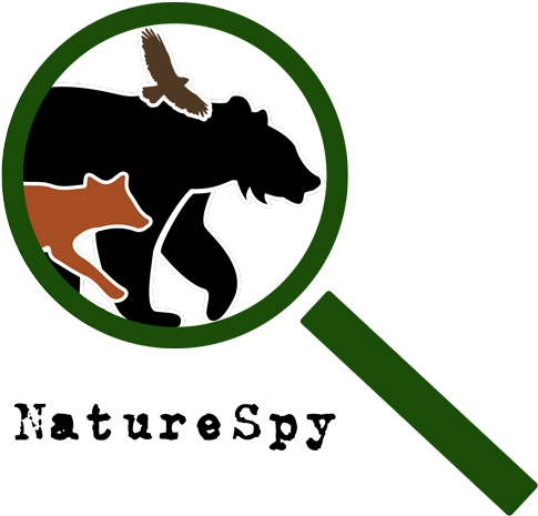 Naturespy Is A Non-profit Organisation That Aims To - Bear With Me Icon Motivational Sign - Aluminum Metal, (500x480)