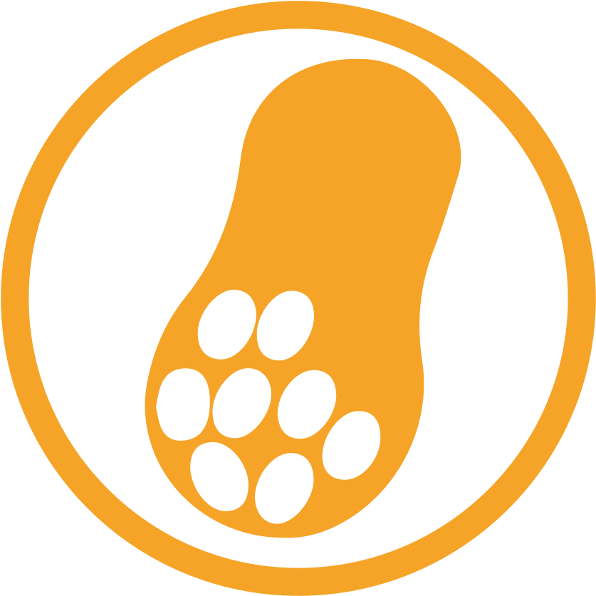 Peanut Allergy Amber Icon - Peanut Allergy (1024x1024)