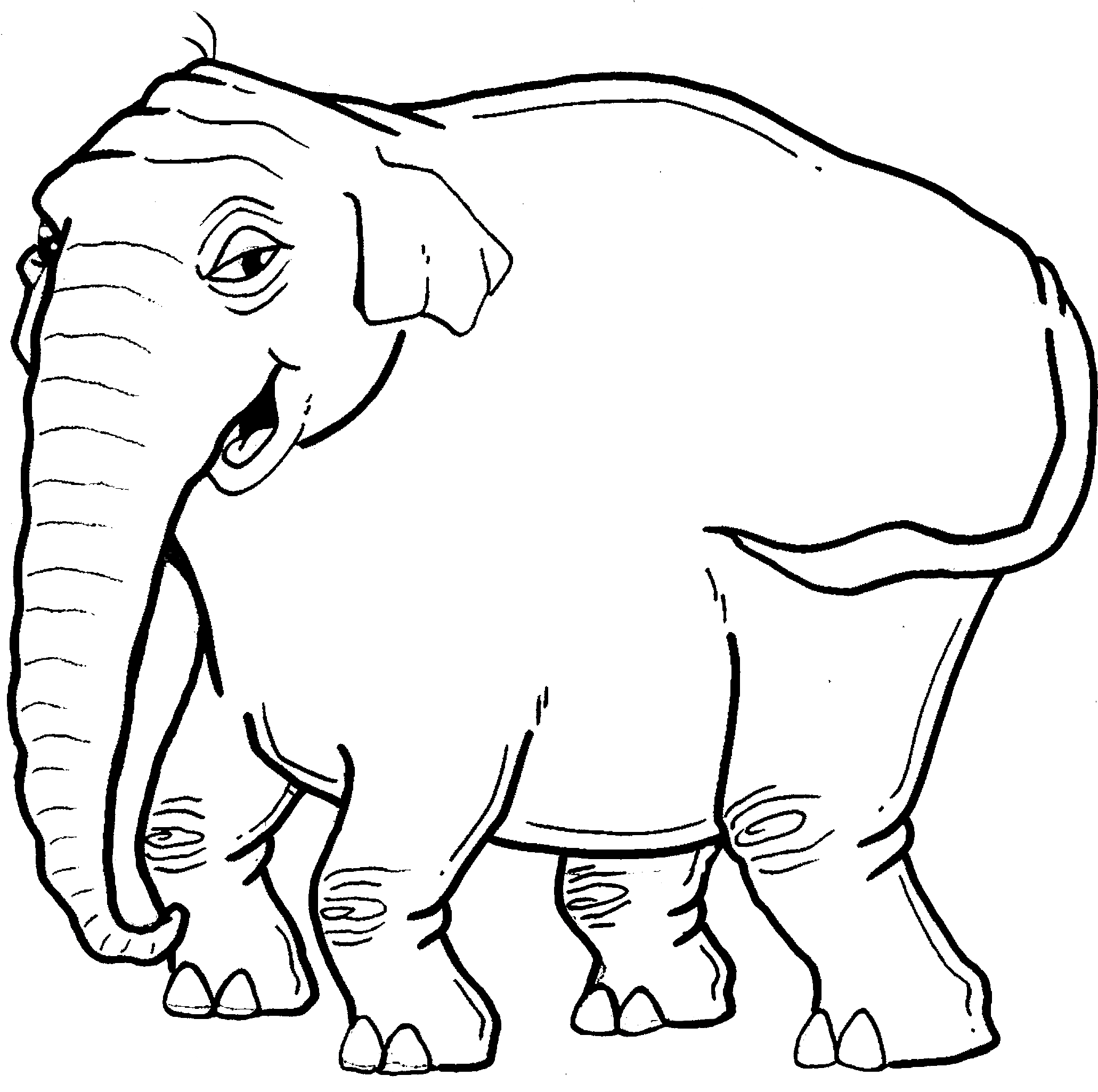 So, The Loose Wrinkled Skin Of An Elephant Gives It - Indian Elephant (2094x2049)