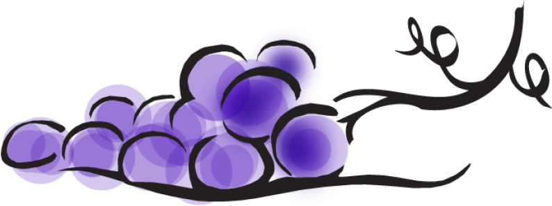 Wine Grape Clip Art - Grape Cartoon Png (850x346)