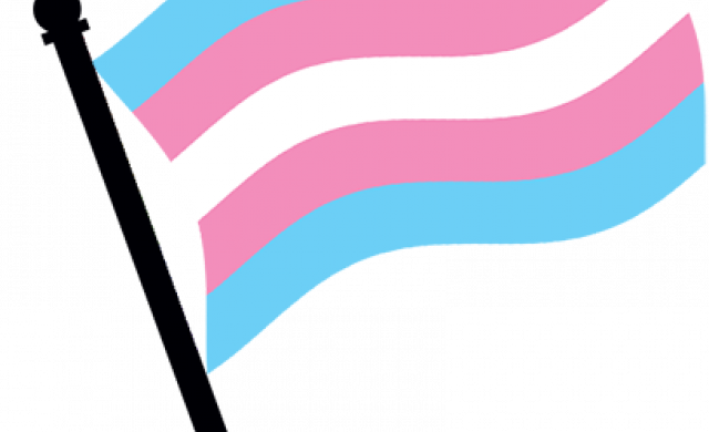 Roundtable - Transgender (640x390)