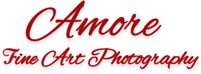 Fine-art Photography (668x252)