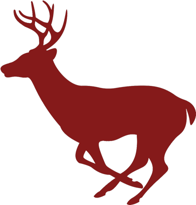 Wildlife & Deer Feed - Cuts Of Meat On Deer (424x424)