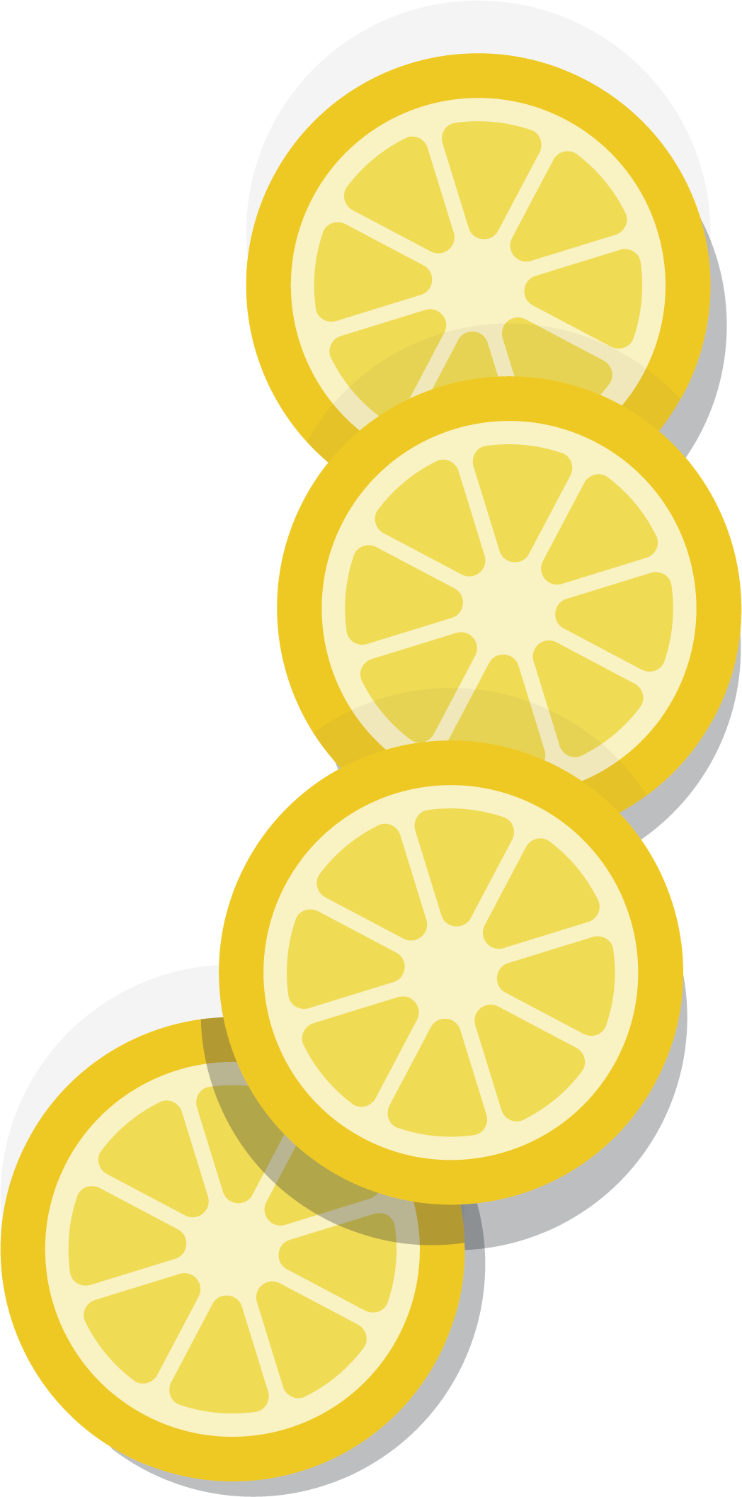 Fresh Lemon Slice - Bitter Orange (1048x2113)
