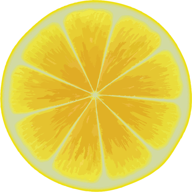 Medium Image - Lemon Slice (793x790)