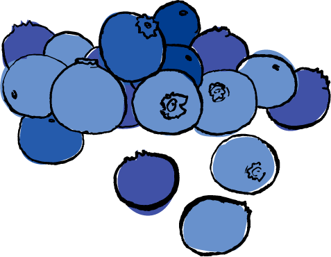 Blueberries - Blueberries (477x370)