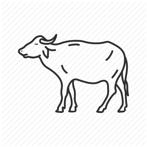 Drawn Cow Karabaw - Working Animal (512x512)