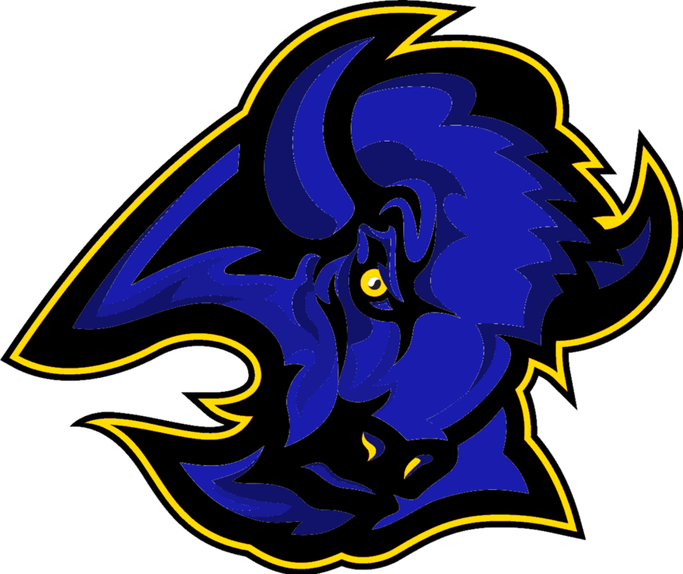 First Custom Buffalo Sabres Logo By Nhlconcepts - Art (975x819)