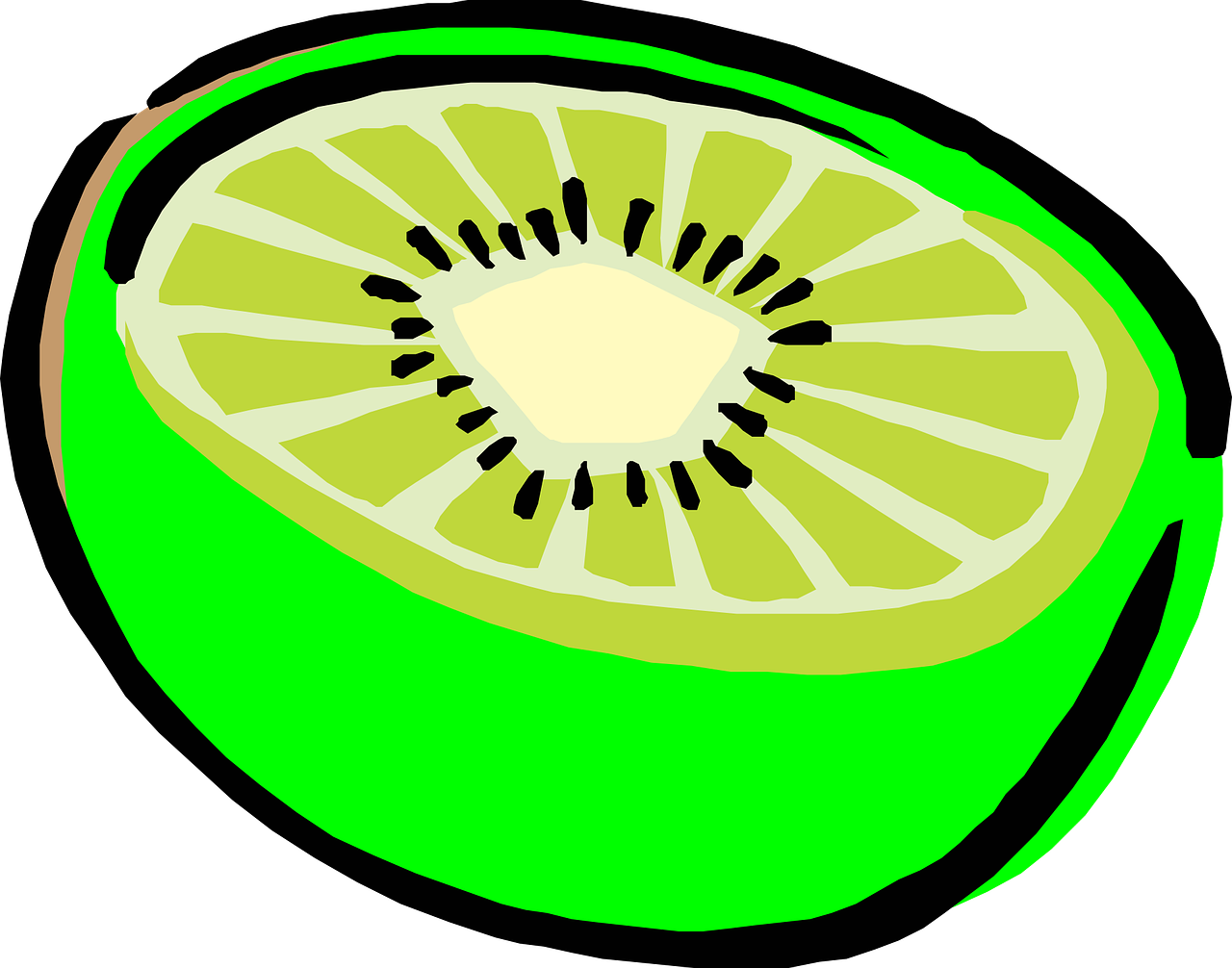 Kiwifruit Drawing Clip Art - Kiwi Clip Art (1280x1006)