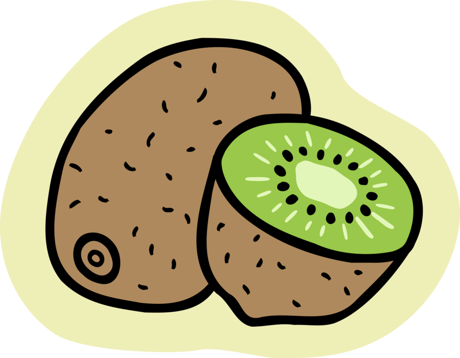 Vector Illustration Of Kiwifruit, Chinese Gooseberry - Kiwi (900x700)