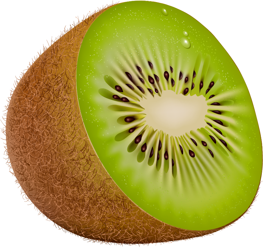 Kiwi Png Clipart - Kiwi Fruit Clip Art (920x865)