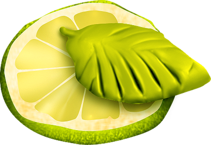 Kiwifruit Food Carambola Lime - Invertebrate (699x479)
